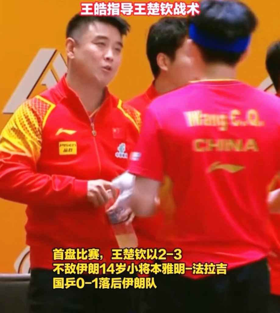 法国乒乓球队险胜瑞典乒乓球队，王皓送出助攻的简单介绍