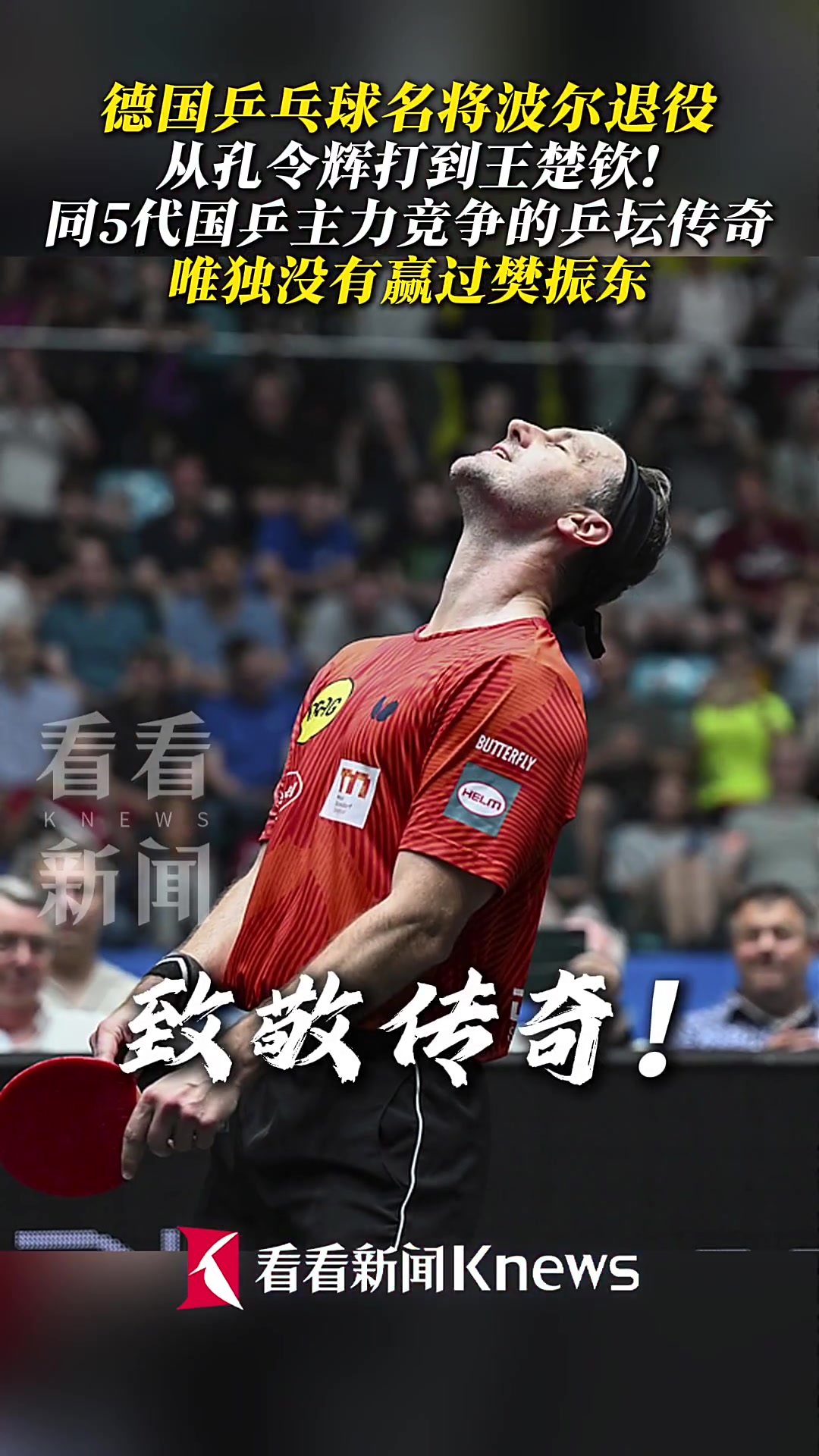 包含奥地利乒乓球队完胜日本乒乓球队，波尔送出助攻的词条