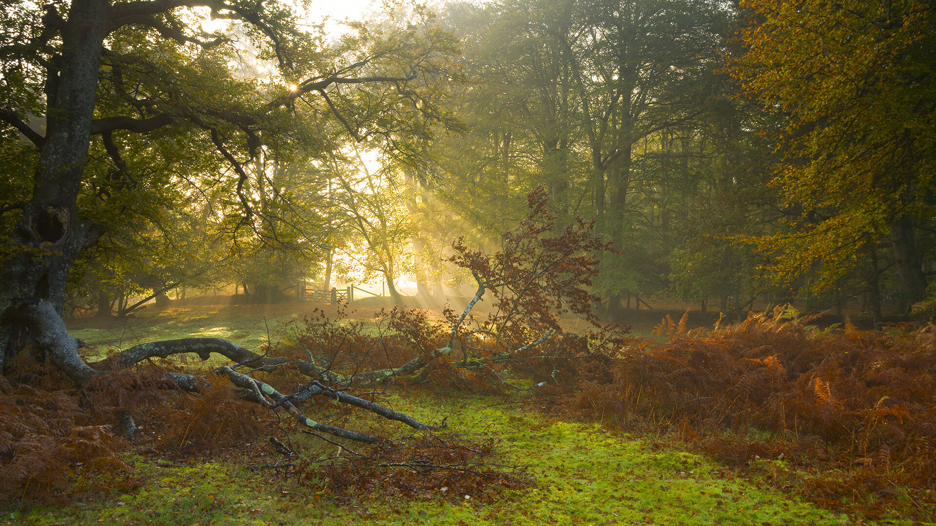 冰封标靶与炽热火焰，利拉德终场三分引爆雷霆晋级夜