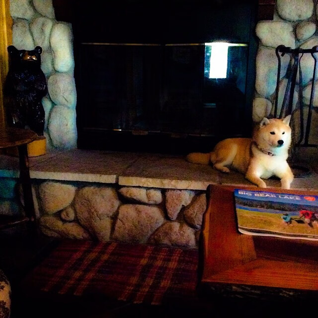 黄色潜艇破浪法兰西,奥斯梅恩的欧冠新生