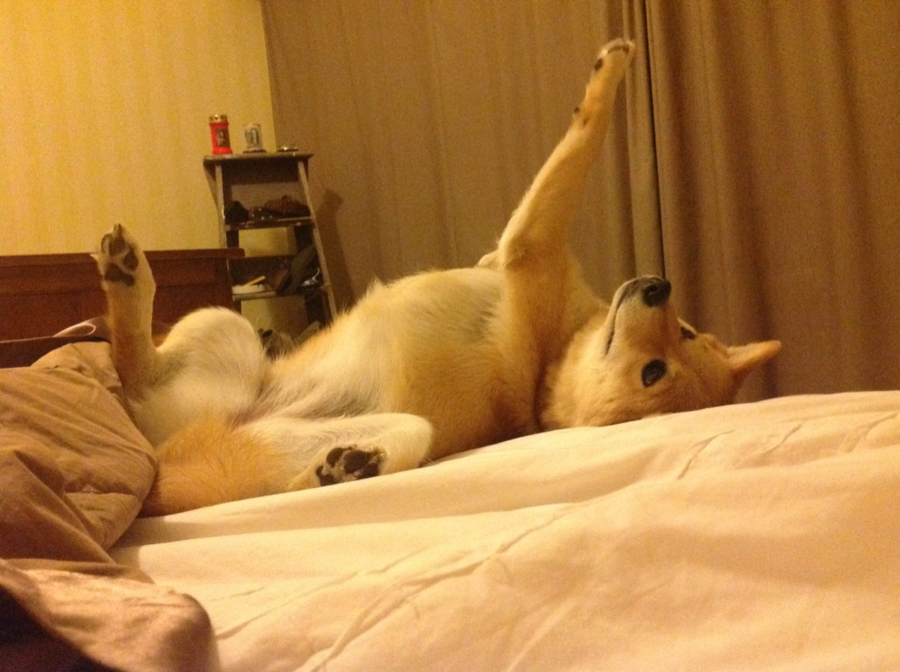 西决生死战之夜,卡塞米罗,那个掌控比赛节奏的幽灵