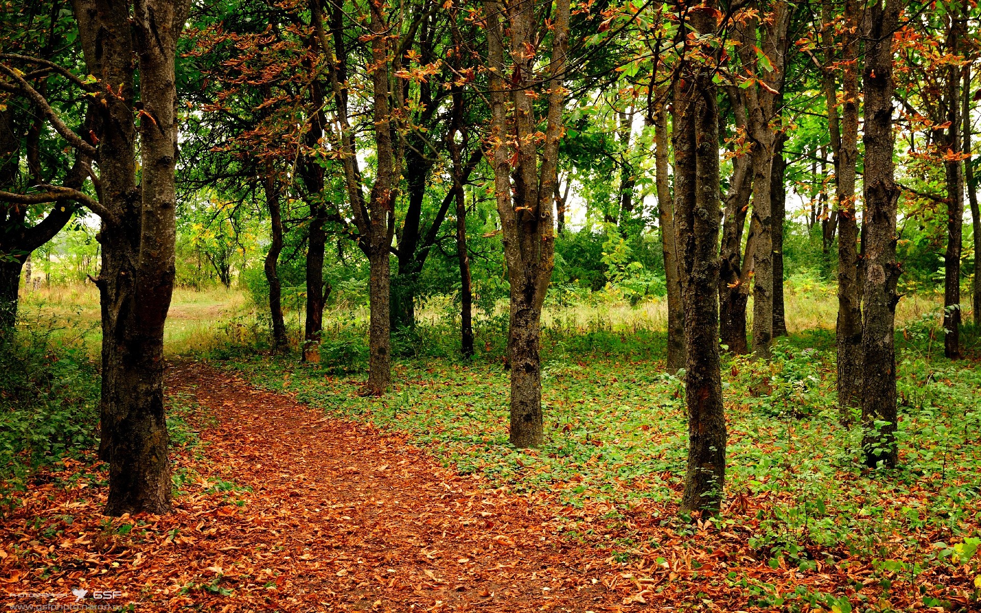 倒置的叙事,当苏亚雷斯为阿根廷戴帽