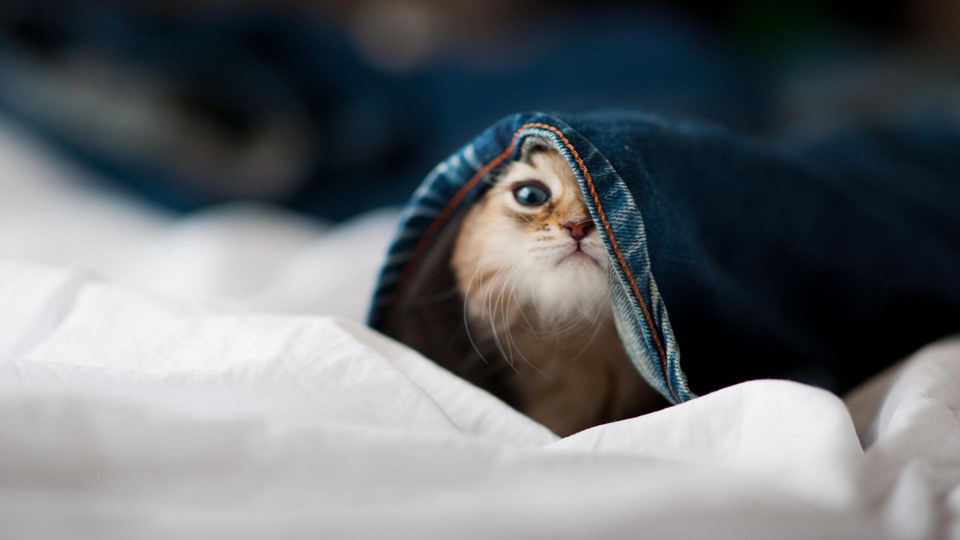 欧冠决赛夜，寂静的9分钟，与敲响天堂大门的13分