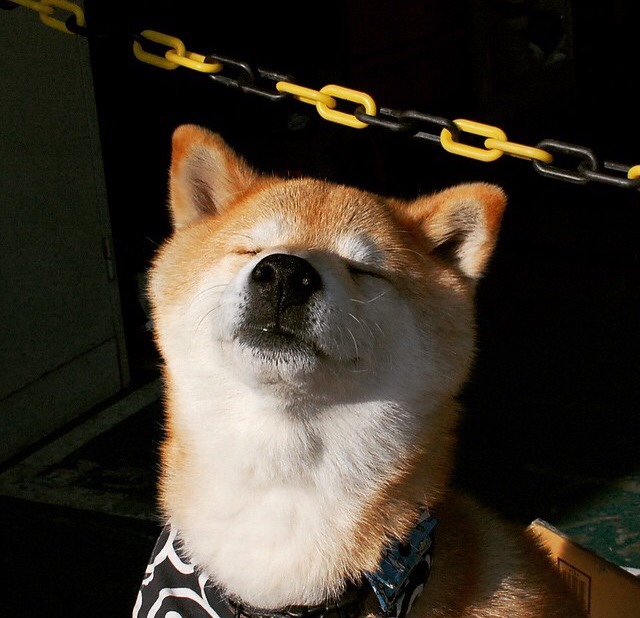 萨卡的魔法，在厄瓜多尔对阵爱尔兰的友谊赛中展现冠军级表现