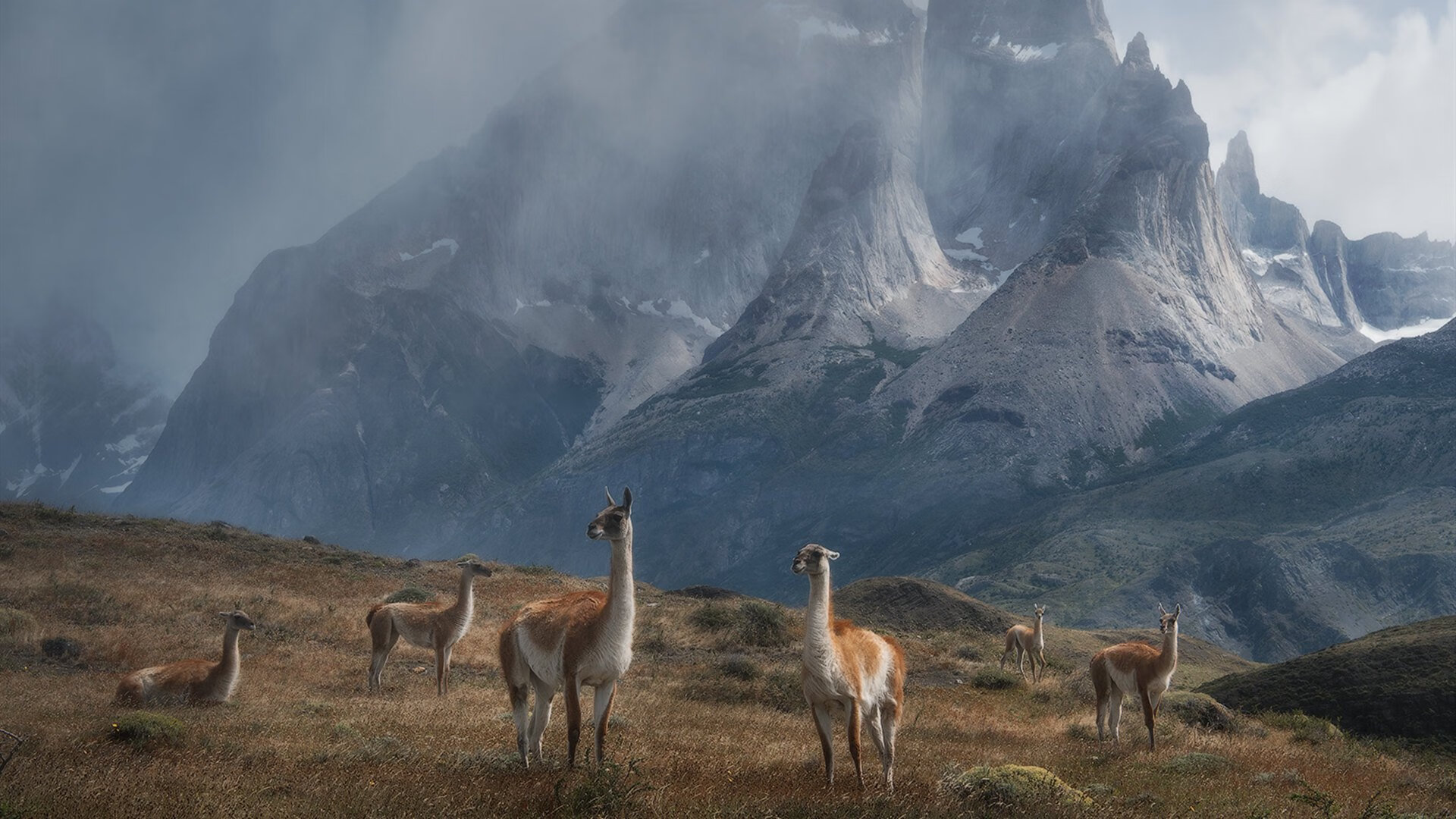 金庸式后仰，英格拉姆一剑光寒，马刺之道胜似二十座奖杯