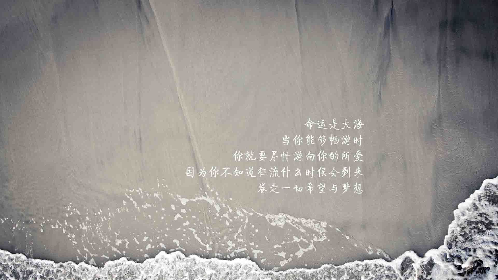 恒河之浪与星条旗的碰撞，2026，坎塞洛的独舞如何定义G组最不寻常的战役