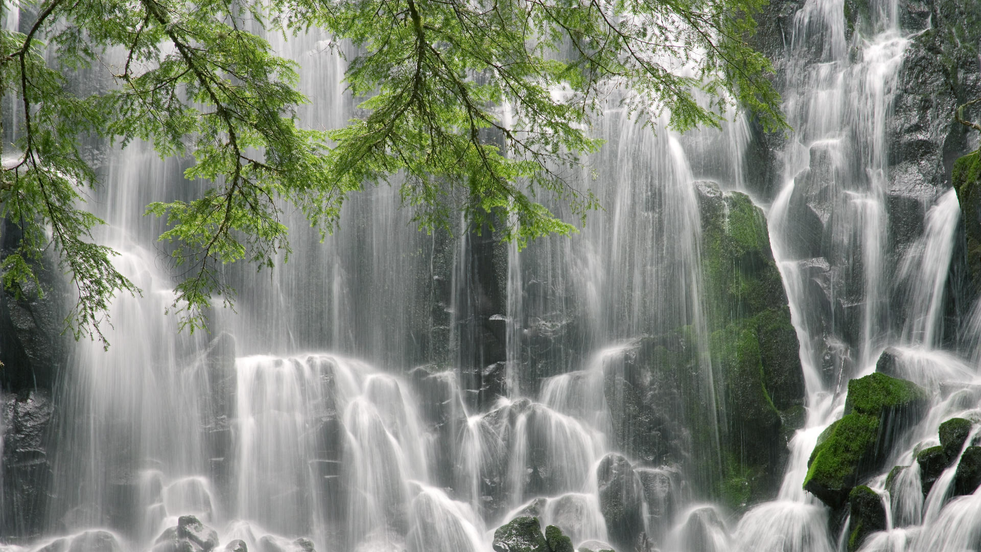 掌控与反杀,2026世界杯E组,加纳如何用控球压制葡萄牙,却让布罗佐维奇完成致命一击