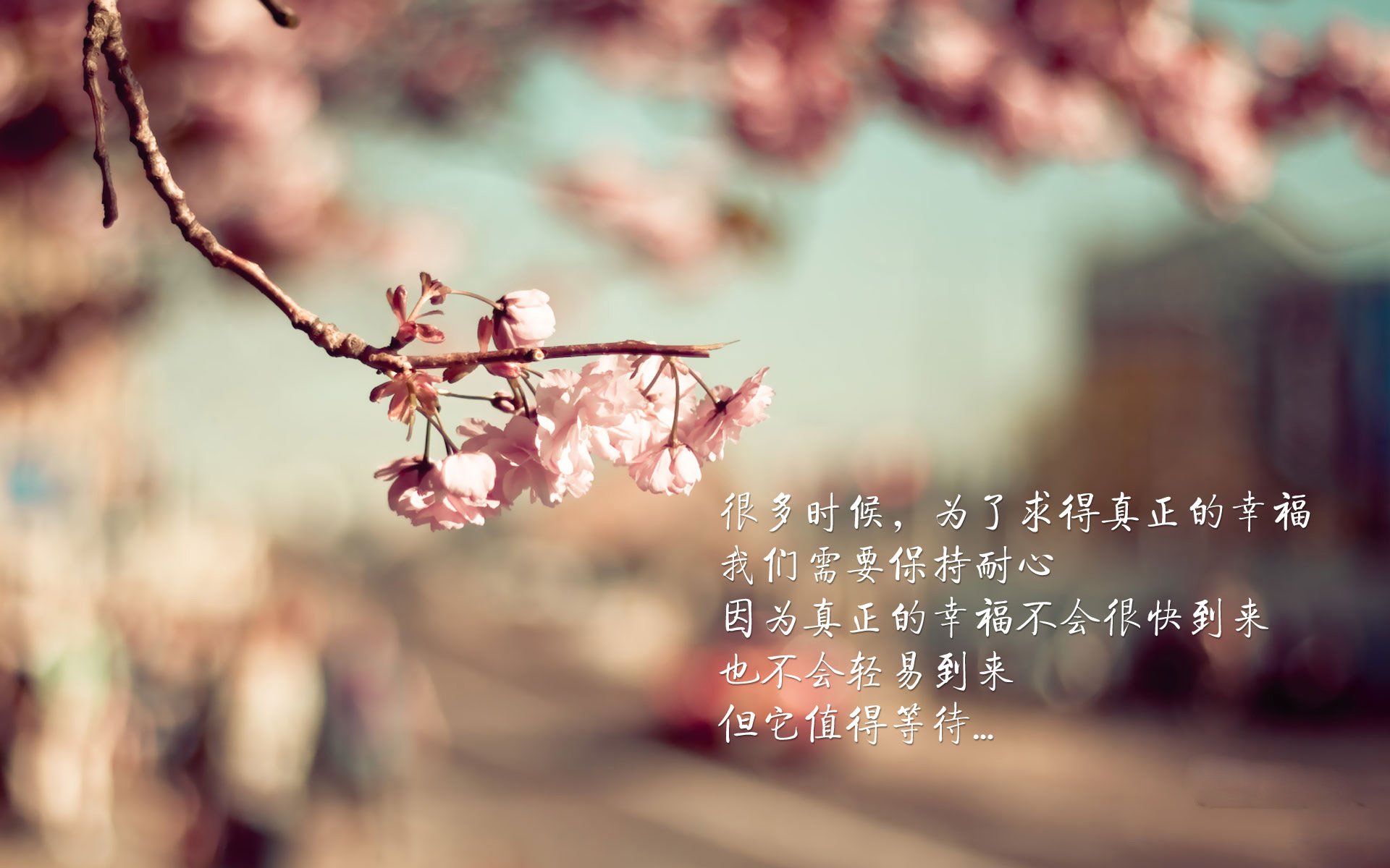 黑星闪耀，桑巴新生，维尼修斯独舞破局，加纳完胜哥伦比亚锁定头名之争焦点战