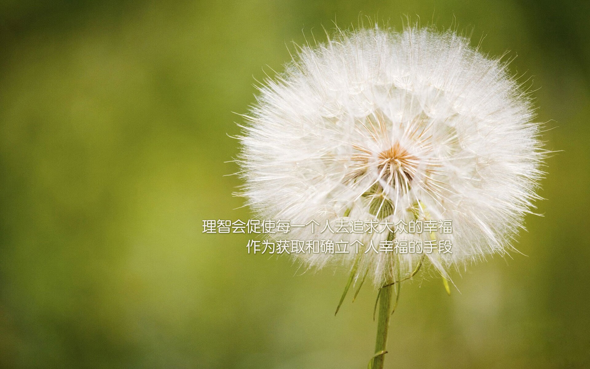 唯一性的光芒，当喀麦隆的坚韧遭遇厄瓜多尔的秩序，费利克斯在B组刻下不朽航标